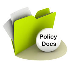 1. Documentation and Policy Development: