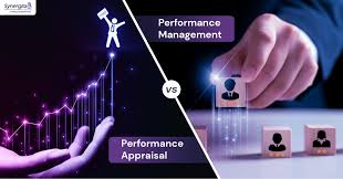 16.	Human Resources required HR Metrics and KPIs Boards’ Development: